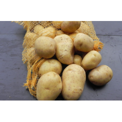 Pommes de terre (3kg)