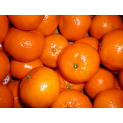 Clémentines/Mandarines